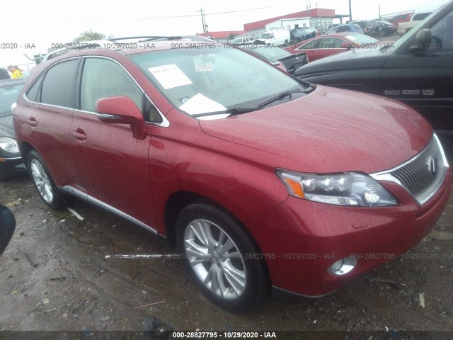 LEXUS RX 450H 2012 jtjbc1ba6c2424266