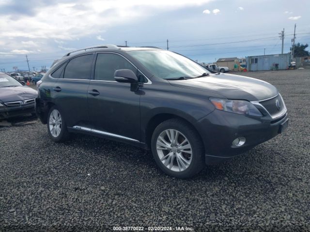 LEXUS RX 450H 2010 jtjbc1ba7a2016629