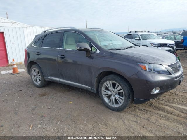 LEXUS RX 450H 2010 jtjbc1ba7a2413502