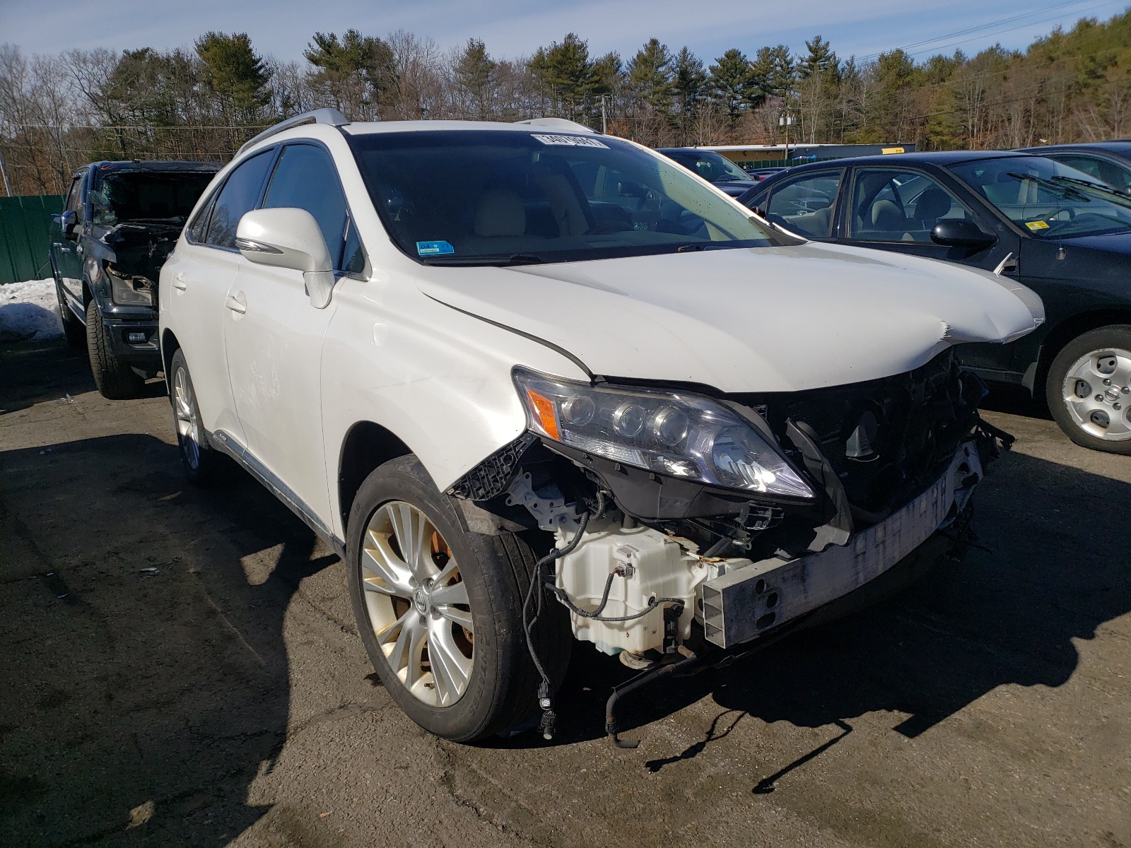 LEXUS RX 450 2010 jtjbc1ba8a2008720