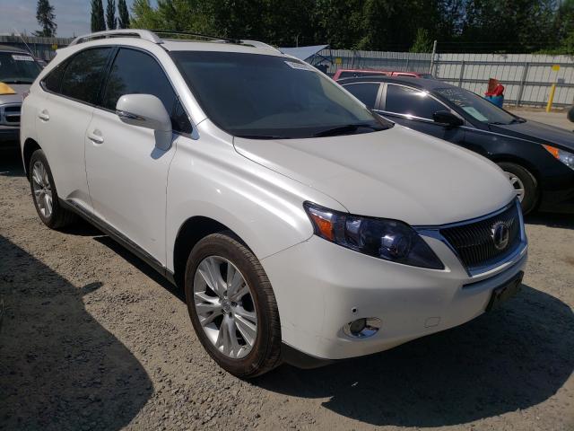 LEXUS RX 450 2010 jtjbc1ba8a2011908