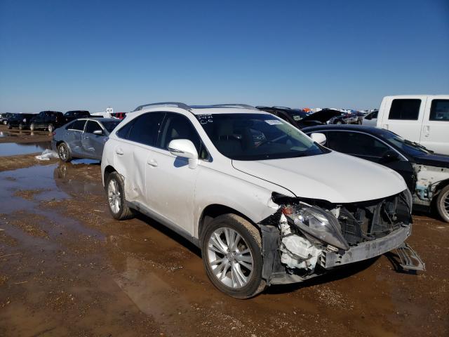 LEXUS RX 450 2010 jtjbc1ba8a2410849