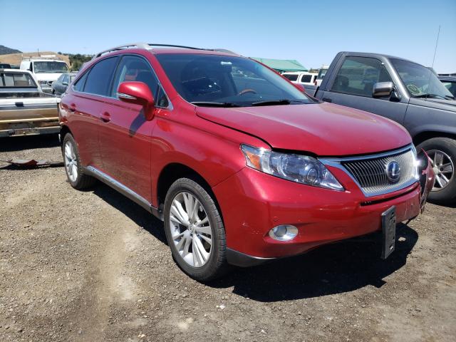 LEXUS RX 450 2010 jtjbc1ba8a2415775