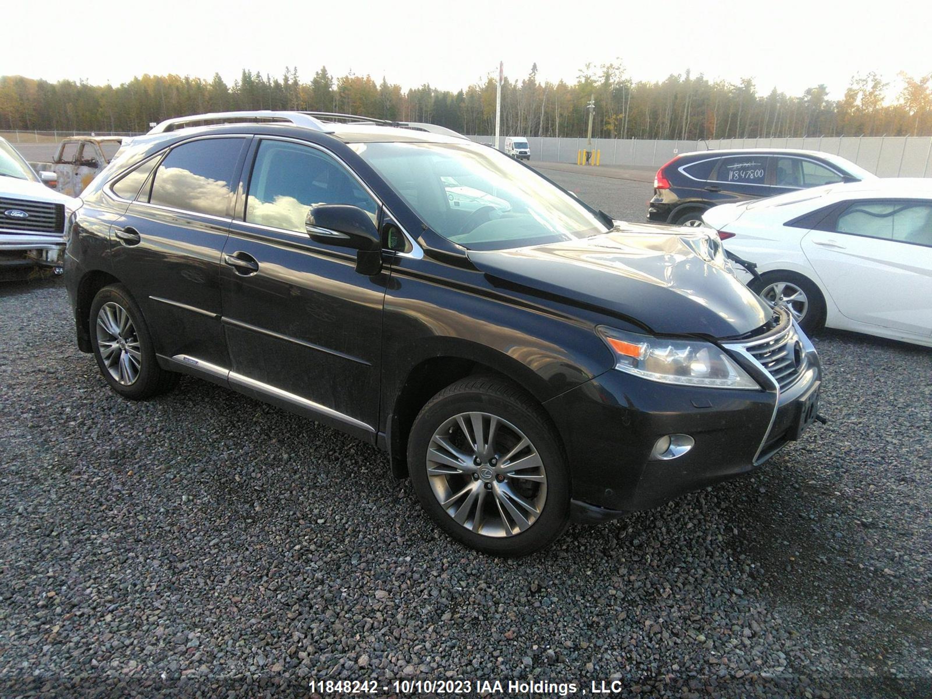 LEXUS RX 2013 jtjbc1ba8d2440342