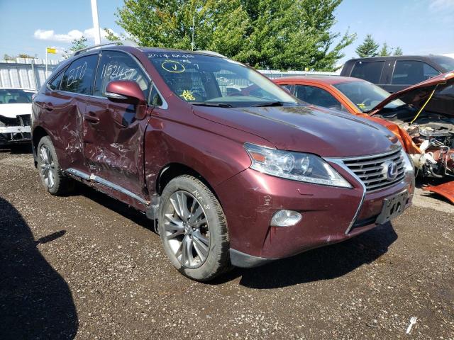 LEXUS RX 450 2014 jtjbc1ba8e2452301