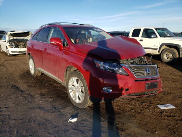 LEXUS RX 450 2010 jtjbc1ba9a2010184