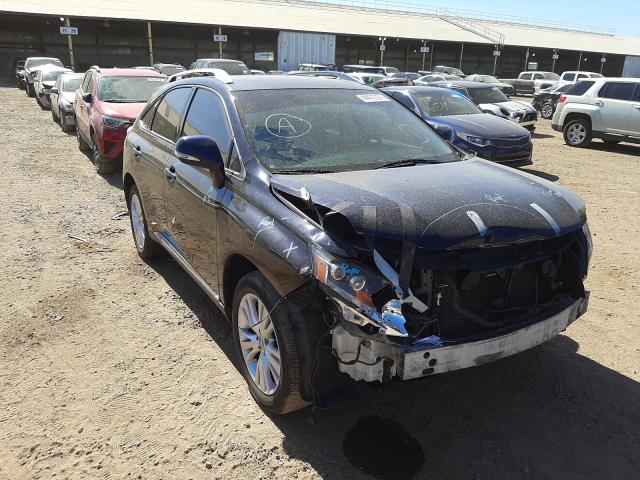 LEXUS RX 450 2010 jtjbc1ba9a2030631