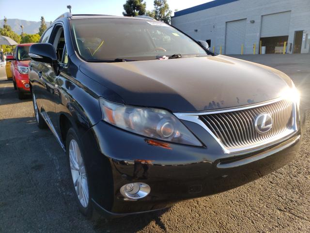 LEXUS RX 450 2010 jtjbc1ba9a2031536