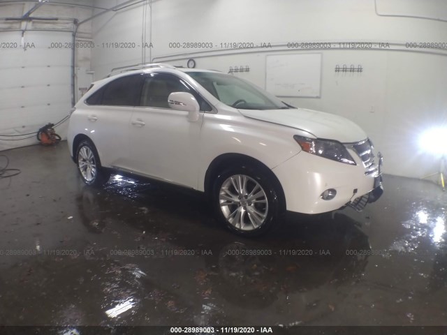 LEXUS RX 450H 2010 jtjbc1ba9a2406776