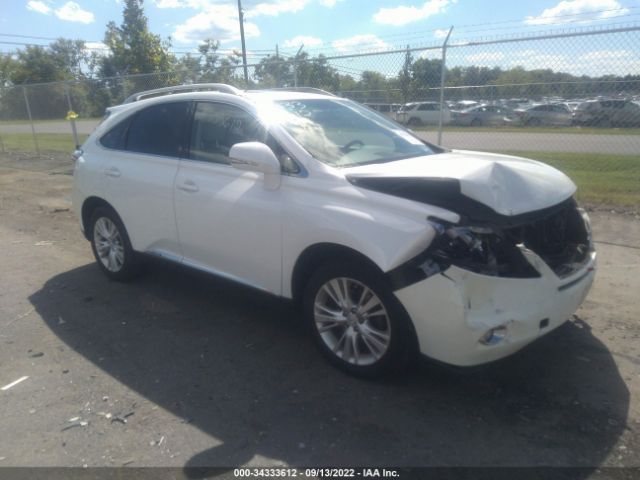 LEXUS RX 450H 2010 jtjbc1ba9a2410990