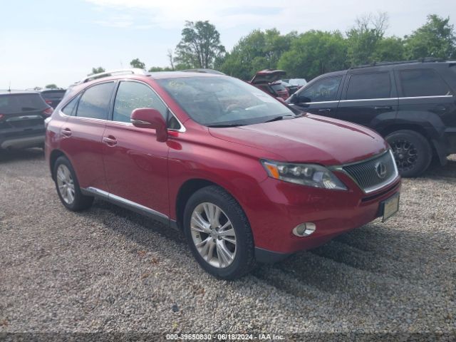 LEXUS RX 2010 jtjbc1ba9a2412285