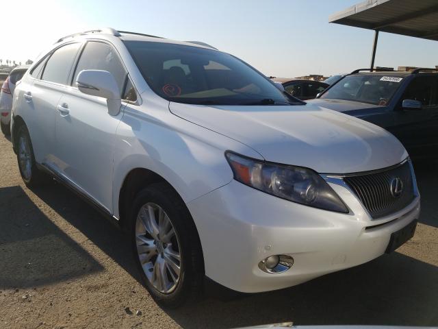 LEXUS RX 450 2010 jtjbc1baxa2008444