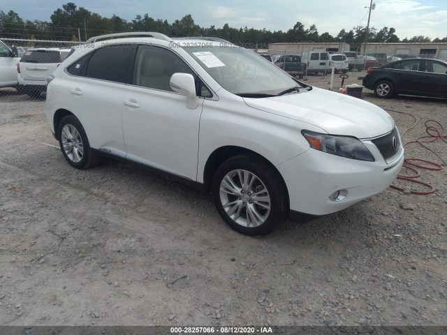 LEXUS RX 450H 2010 jtjbc1baxa2017256