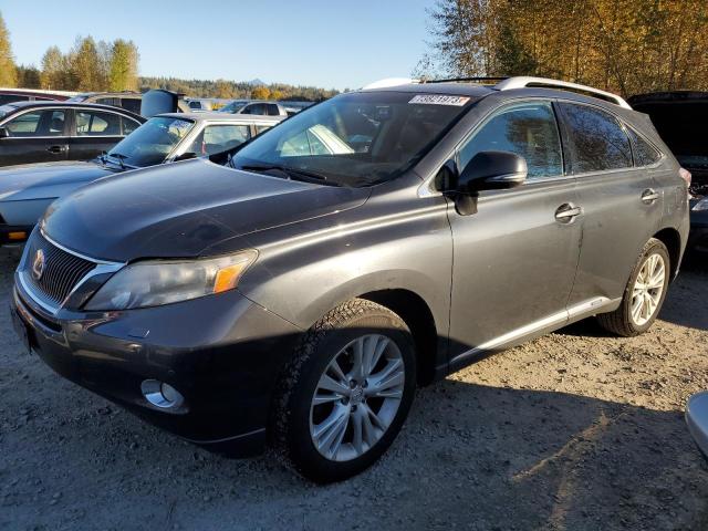 LEXUS RX450 2010 jtjbc1baxa2021114