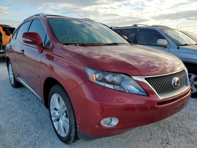 LEXUS RX 450 2010 jtjbc1baxa2026698