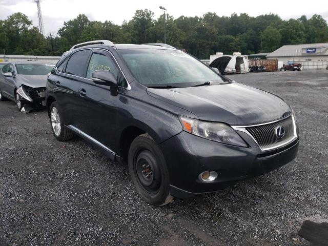 LEXUS RX 450 2010 jtjbc1baxa2029553