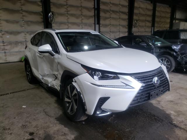 LEXUS NX 300H 2019 jtjbjrb78k2105623