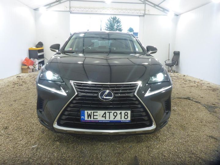 LEXUS NX 2021 jtjbjrbz002170639