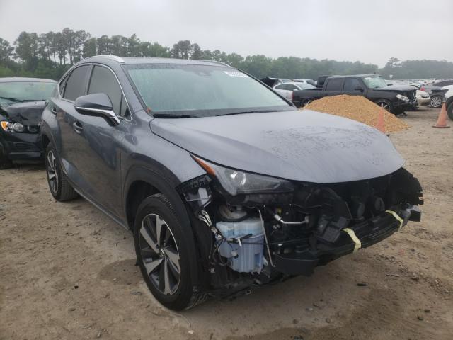 LEXUS NX 300H 2019 jtjbjrbz0k2098201