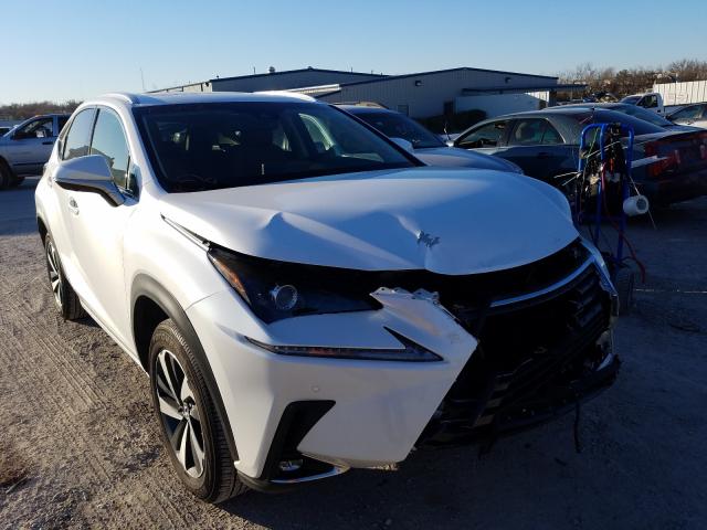 LEXUS NX 300H 2019 jtjbjrbz0k2106152