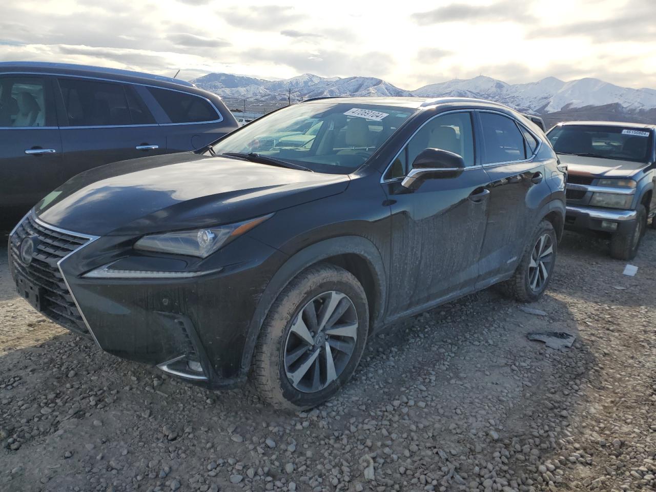 LEXUS NX 2019 jtjbjrbz0k2111562