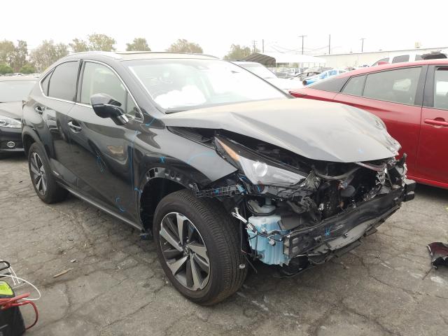 LEXUS NX 300H 2019 jtjbjrbz0k2113215