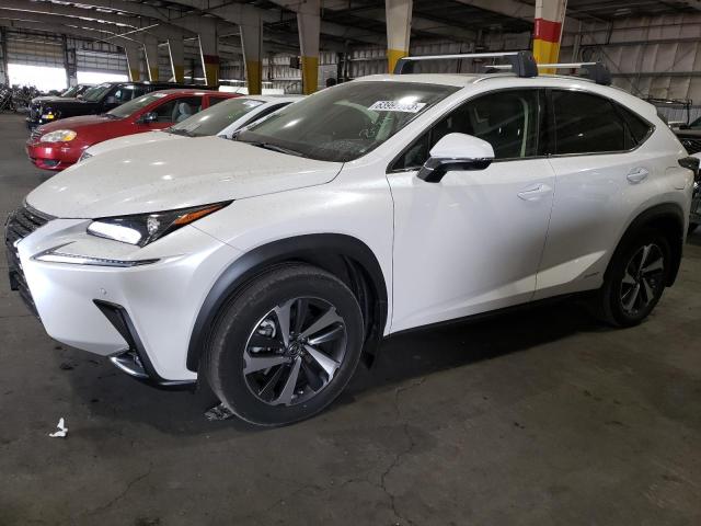 LEXUS NX 300H 2019 jtjbjrbz0k2114588