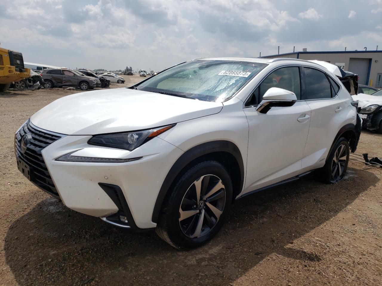 LEXUS NX 2019 jtjbjrbz0k2119208