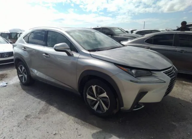 LEXUS NX 2019 jtjbjrbz0k2119628