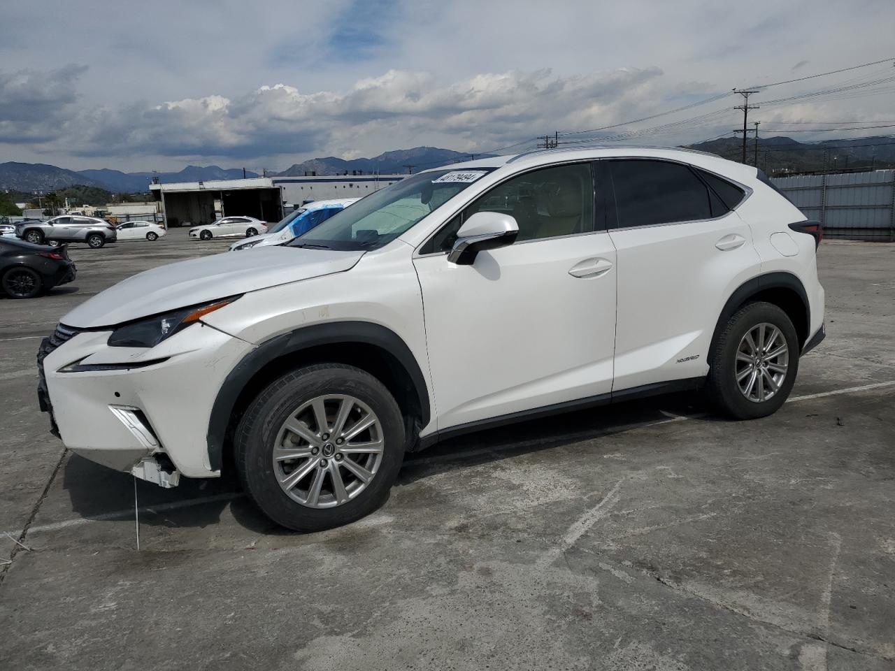 LEXUS NX 2019 jtjbjrbz1k2099535