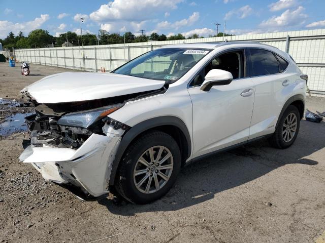 LEXUS NX 2019 jtjbjrbz1k2103275