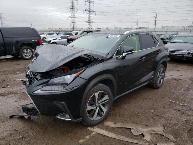 LEXUS NX 300H 2019 jtjbjrbz1k2112008