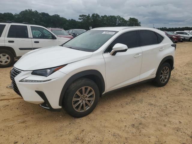 LEXUS NX 300H 2019 jtjbjrbz1k2119668