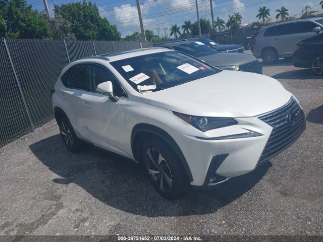 LEXUS NX 300H 2019 jtjbjrbz1k2125504