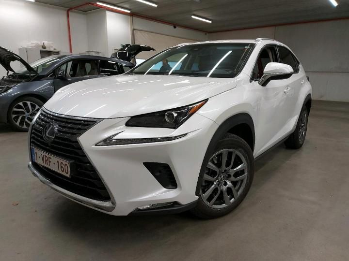 LEXUS NX 2019 jtjbjrbz202087777