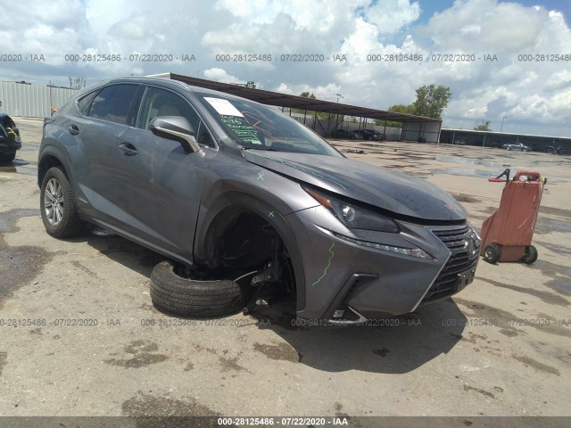 LEXUS NX 2019 jtjbjrbz2k2102992