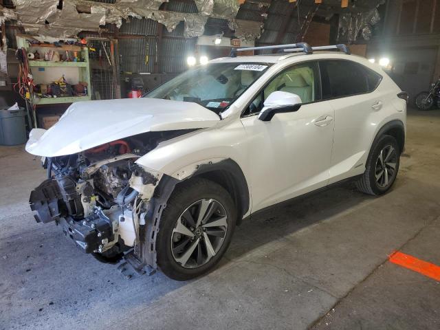 LEXUS NX 300H 2019 jtjbjrbz2k2112485