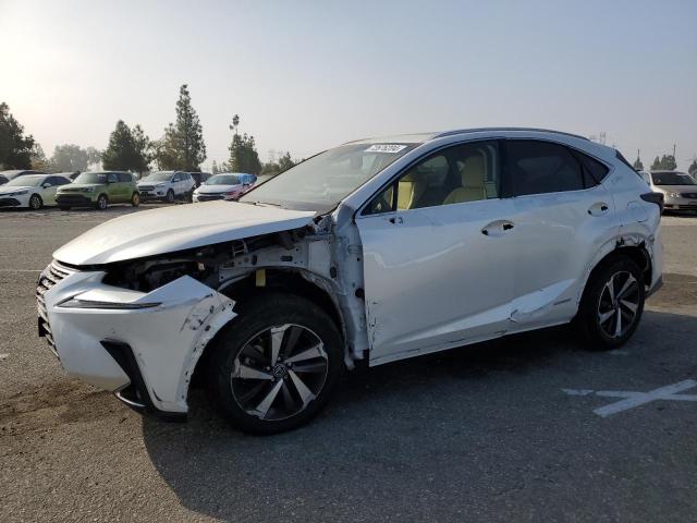 LEXUS NX 300H 2018 jtjbjrbz3j2077924