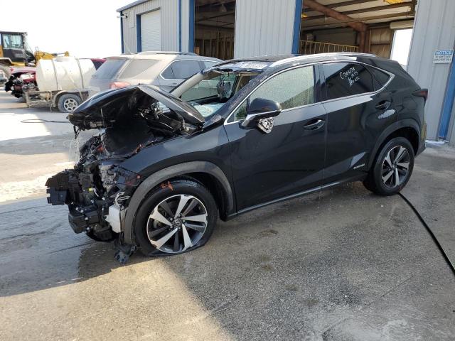 LEXUS NX 2018 jtjbjrbz3j2087384