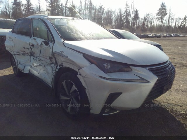 LEXUS NULL 2019 jtjbjrbz3k2096846