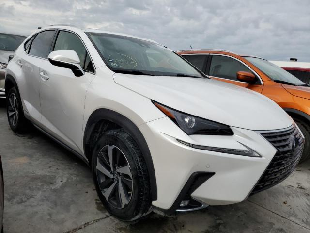 LEXUS NX 300H 2019 jtjbjrbz3k2106663