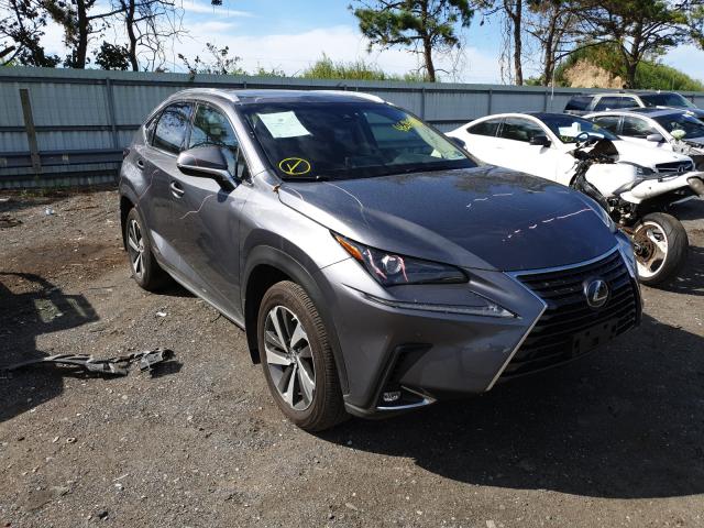 LEXUS NX 300H 2019 jtjbjrbz3k2113421