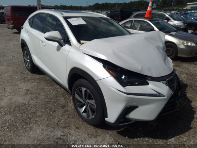 LEXUS NX 2019 jtjbjrbz3k2113807