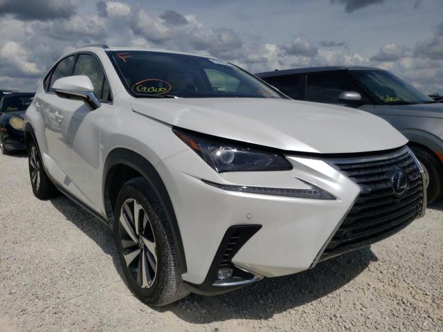 LEXUS NX 300H 2019 jtjbjrbz3k2117713