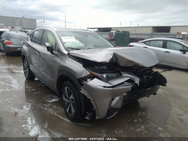 LEXUS NX 2019 jtjbjrbz3k2122653