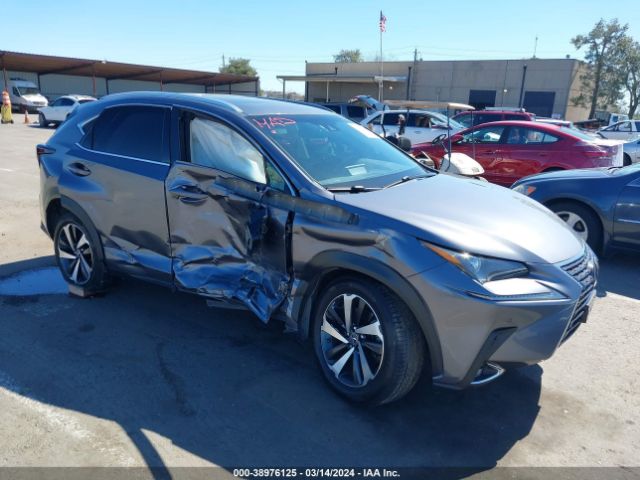 LEXUS NX 300H 2018 jtjbjrbz4j2086180