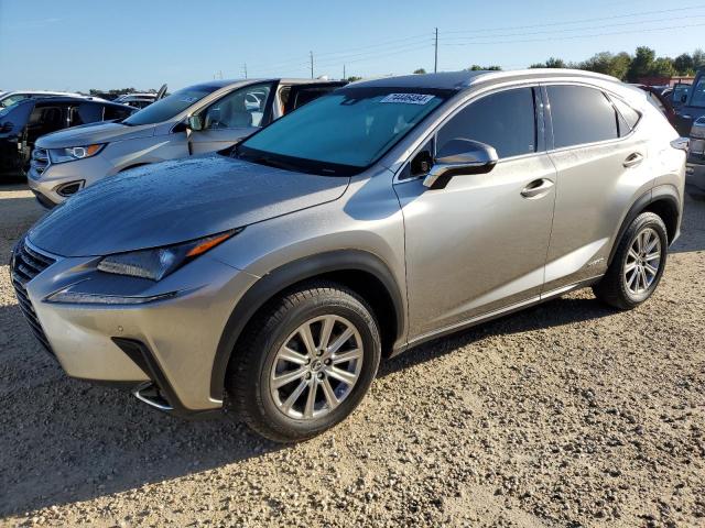 LEXUS NX 300H 2019 jtjbjrbz4k2097374