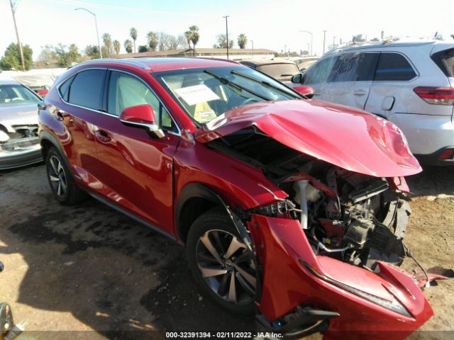 LEXUS NX 2019 jtjbjrbz4k2105652