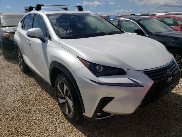 LEXUS NX 300H 2019 jtjbjrbz4k2112486