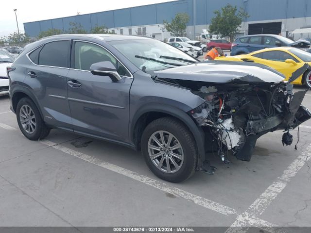 LEXUS NX 300H 2019 jtjbjrbz4k2119129